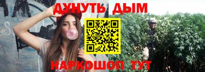 крисы Кинель