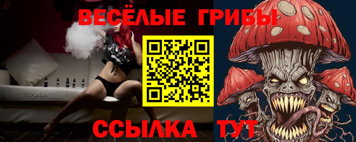 Псилоцибиновые грибы MAGIC MUSHROOMS Кинель