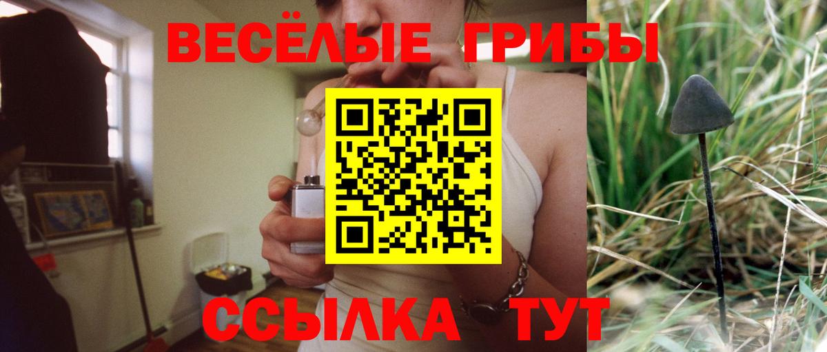 Галлюциногенные грибы Psilocybe  Вход с VPN  Галлюциногенные грибы Psilocybe  Кинель 