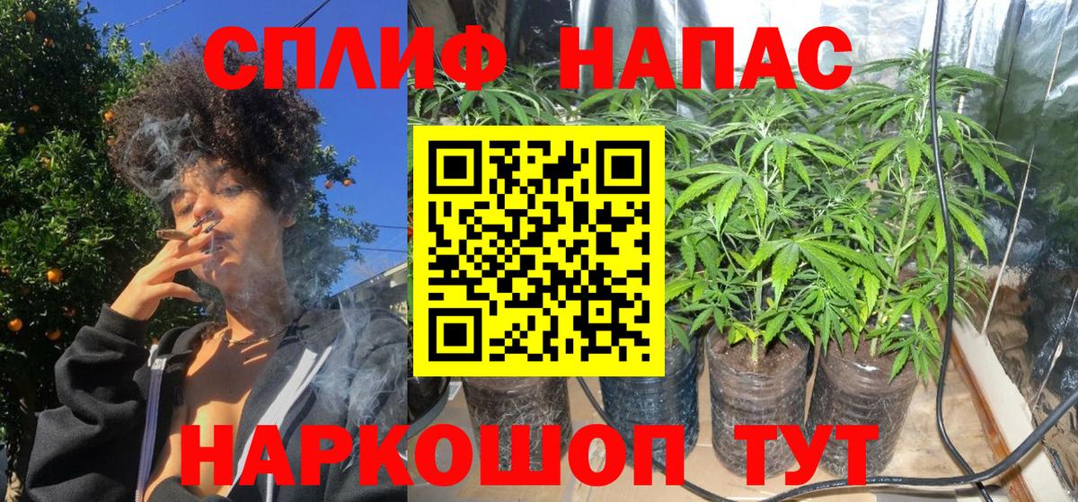 Бошки Шишки THC 21% Кинель